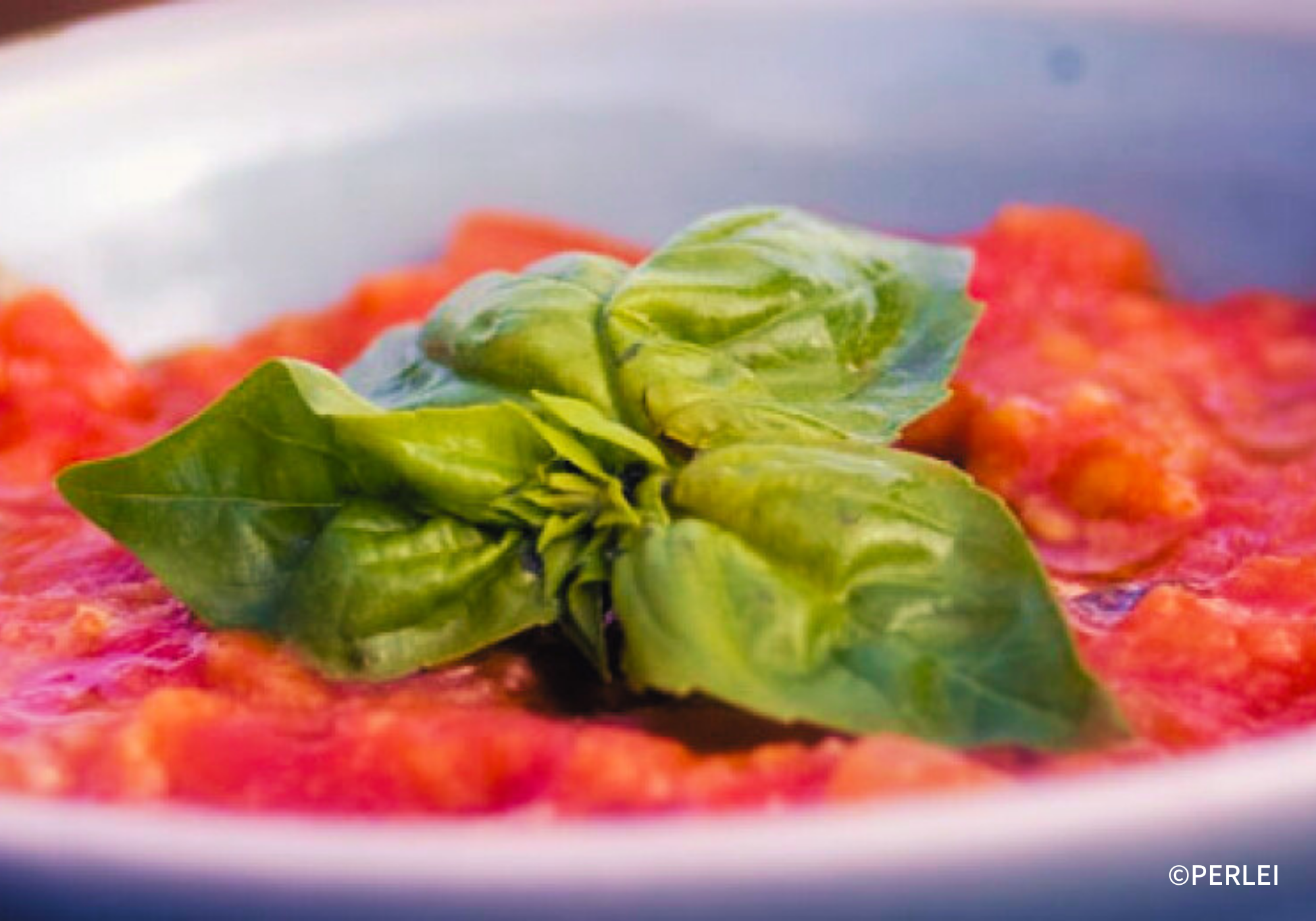 定番レシピ「Frittata」